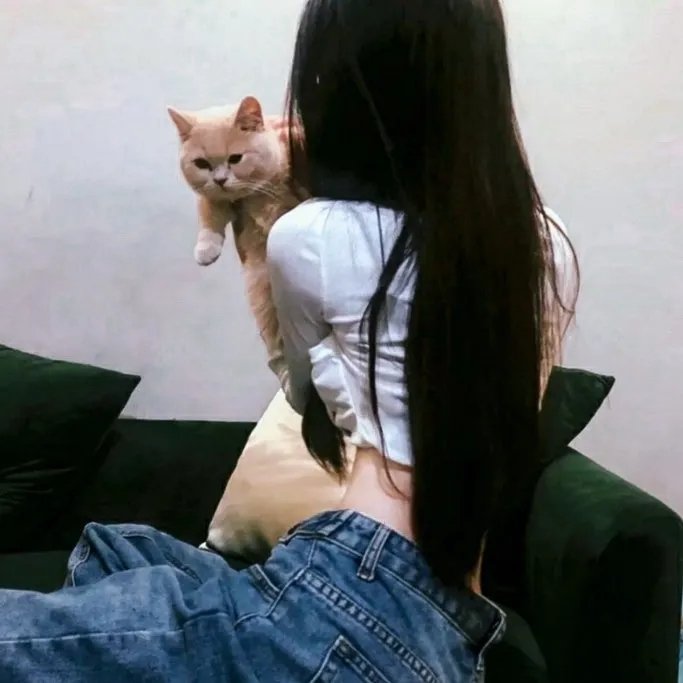 推理要在晚餐后